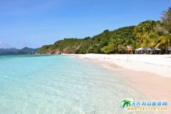 �����������C���� �������e���΍u�Ѓ���