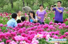 �����ˎ�^�p����������Ʊ����Ҏģ���Q�A���؅^֮��