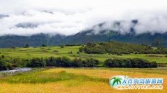 ��֥�����ǱȌ��� ����͸����⡢��Ұ����Ó