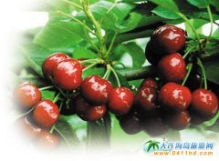 ���B�Ĵ���Ҍ��ˌ��C(j��)���_(d��)ȫ������