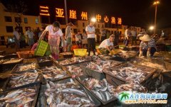 �����������ĝO�� �O����������æ