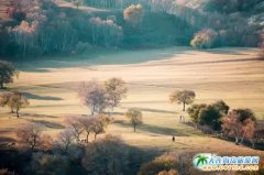 ��������ɫ���Дz��(n��i)�ɲ�ԭ�����MԊ����ͮ�����