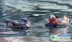 �����B���L��ɽ���Ρ��L��ɽ:���c��Đ� ���x����