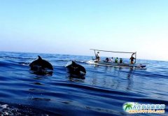 ����u������Щ׌��꠿���@�Ľ^�����c