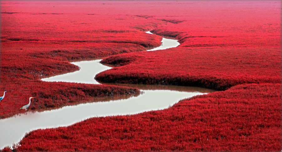 2016��P�\�t��������һ�������t�����г����t�������݈�r