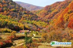 �L��ɽ����ɭ�����ː�