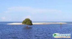 ����u�ı���(gu��)�L(f��ng)�⣬���c����Մ�ِ�(��i)��