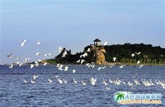 �|�����Ό�(zhu��n)��̫���� ���_(k��i)һ�Єe�e(cu��)�^(gu��)