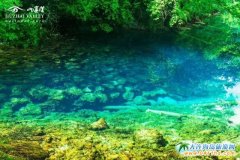 �꠿���M�ľ_����կ��