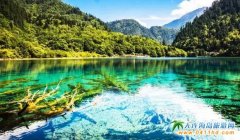 �����B���Ĵ����Ρ�����������ԭ ż�����о�կ