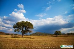 ��(n��i)�ɹŞ��m���y(t��ng)��ԭ���＾�����@�G�r(sh��)�����