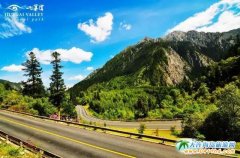 �r�g�ڰl�ͣ���կ��������ζ��