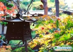 ���ձ�߅�p���~߅�ݜ�Ȫ�ľƵ�R��