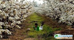 ��s�f�ӱ������r��Ժ��׷��������ɫ|�����ϸ����r��Ժ��ȫ