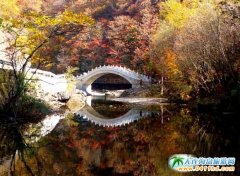 �P�Tɽ�Fُ�r ���B����һ���� ���{�΃��݃r