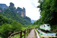 ���ҽ�ɭ�ֹ��@,���Tɽ��������,�P�˹ųǼ���������