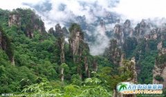 ����ʡ���f(xi��)�¶ȅf(xi��)�̕��������ν�ͨ������