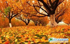 �׌����̫ꖜϲ��~����Ļ