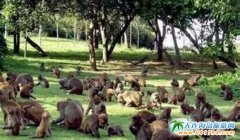 2017����B���������������ε�·��