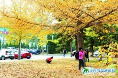 ӛ䛴��B���ﾰɫ�� ǧ�f�e�e�^