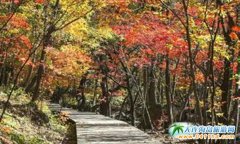 �ؑc�O������ʾ���^    �Ӵ��ؑc���η����|��