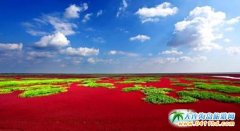 ����ʡ�e�O���M���ήa�I���c�Ŀ���O