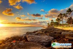 ��������������8���� �������ι��� ��������������Щ����