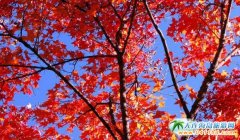 ��կ���������f�󣬿���һ���ط�׌����Ȼ�Ąӣ���ȥ���ɣ�