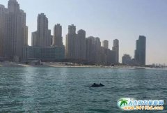 �ϰ��@�F���� �ϰ��������������F���� �ϰ�����