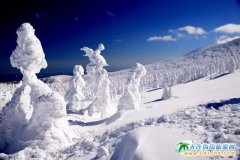 ������ձ���ȥ�@Щ�ط��pѩ��