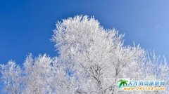 ��������ɽ�����¹���