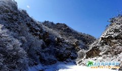  ���B���Tɽ��ѩ�_�I�r�g���TƱ �Aӆ���܃��݃r��