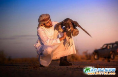 �ϰ��˿��Ӗ������ʽ�����C��Ӗ���WУ