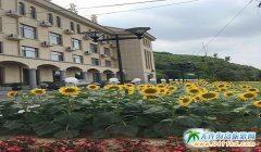 ���B���T����Ȫ ���B���T����Ȫ�Ƶ������� ���B���T��ԃ�Ԓ�Ƕ�