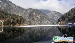 ���϶�����ľ�կ����������