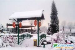 ������Ȫ��֪��ȥ�����棿���B������Ȫ����������������