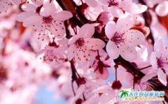 2017���B�ѻ����������R�����Bʮ��ѻ��㹝��