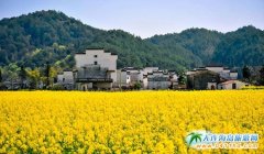 ���·�����������Դ�������Ͳ˻�