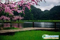  2017���B���������ߺ����Ρ�����������ʮ���һ������⾰�Ĕz��