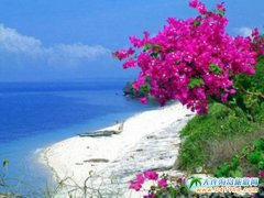 2017����3000�K �o��һ�����R����������ĵط����R�w��