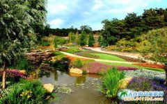 2017���B���Ӣ��ʯֲ��@��չ���}�c����