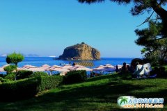 ���D���B�Ѓ�(n��i)�����ι���|���B�Ѓ�(n��i)����oُ��o���M