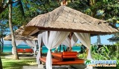 2017�����D����u��Ʒ�|�ȼ�6����