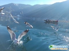 ���������Ј��ĸ��{���¼ܲ������aƷ