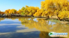 ��ȥ��ԭ���ζ���ʲô����ģ����c������Щ��