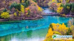 �P���Ĵ���կ�ϵĂ��f