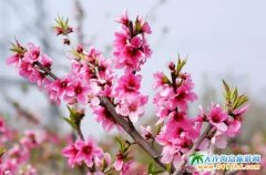 㑺�������һ�ػݣ����B㑺��ȼم^���ݻ��