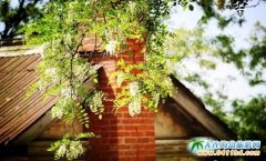 ���̫ꖜϻ�����ح��혿�����ȥ��