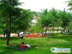 ���BӢ��ʯֲ��@��ͯ�����������������