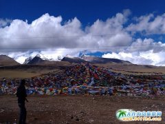 ���������Iʲô�ã���(y��ng)ԓ�Iʲô���o���ѣ�